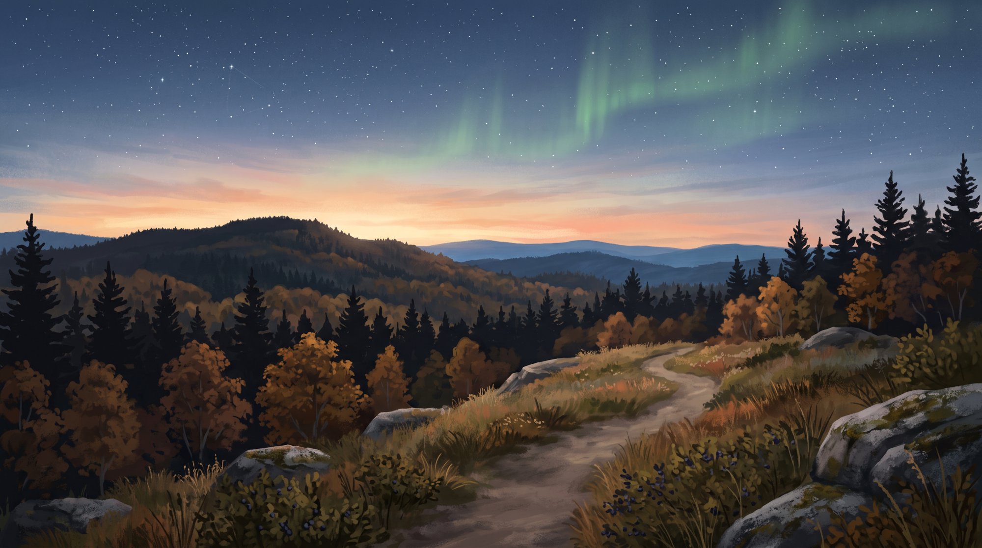 Illustration of a dark pine forest under a clear starry sky with faint northern lights in fall