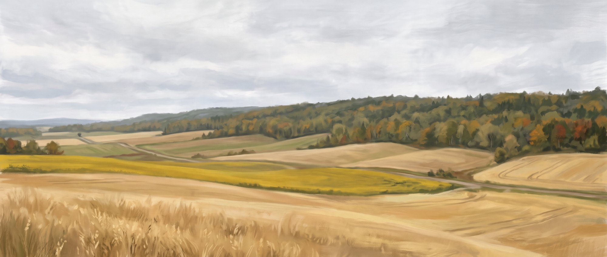 Illustration of rolling fields of golden grain and canola under a wide sky with a distant wooded ridge in fall