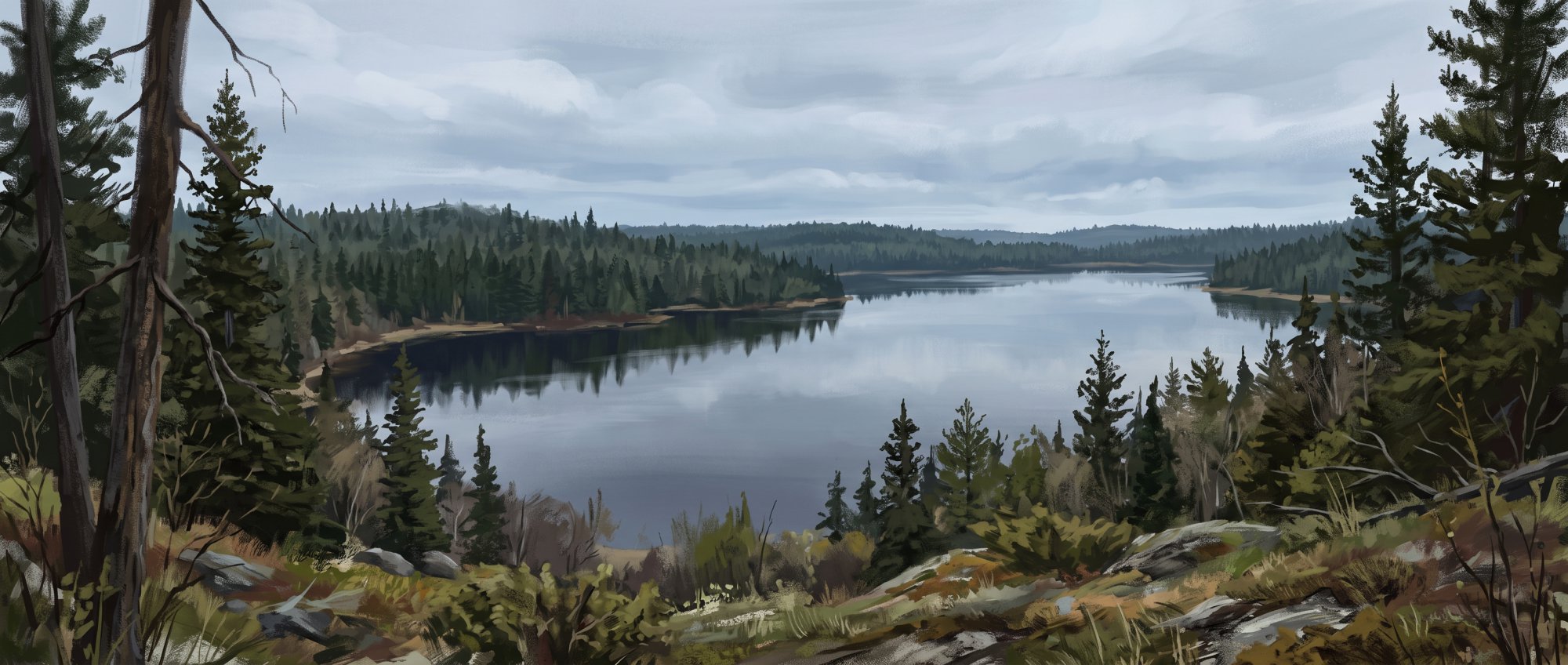 Illustration of a calm lake ringed by spruce and pine trees at the edge of a north woods forest in spring
